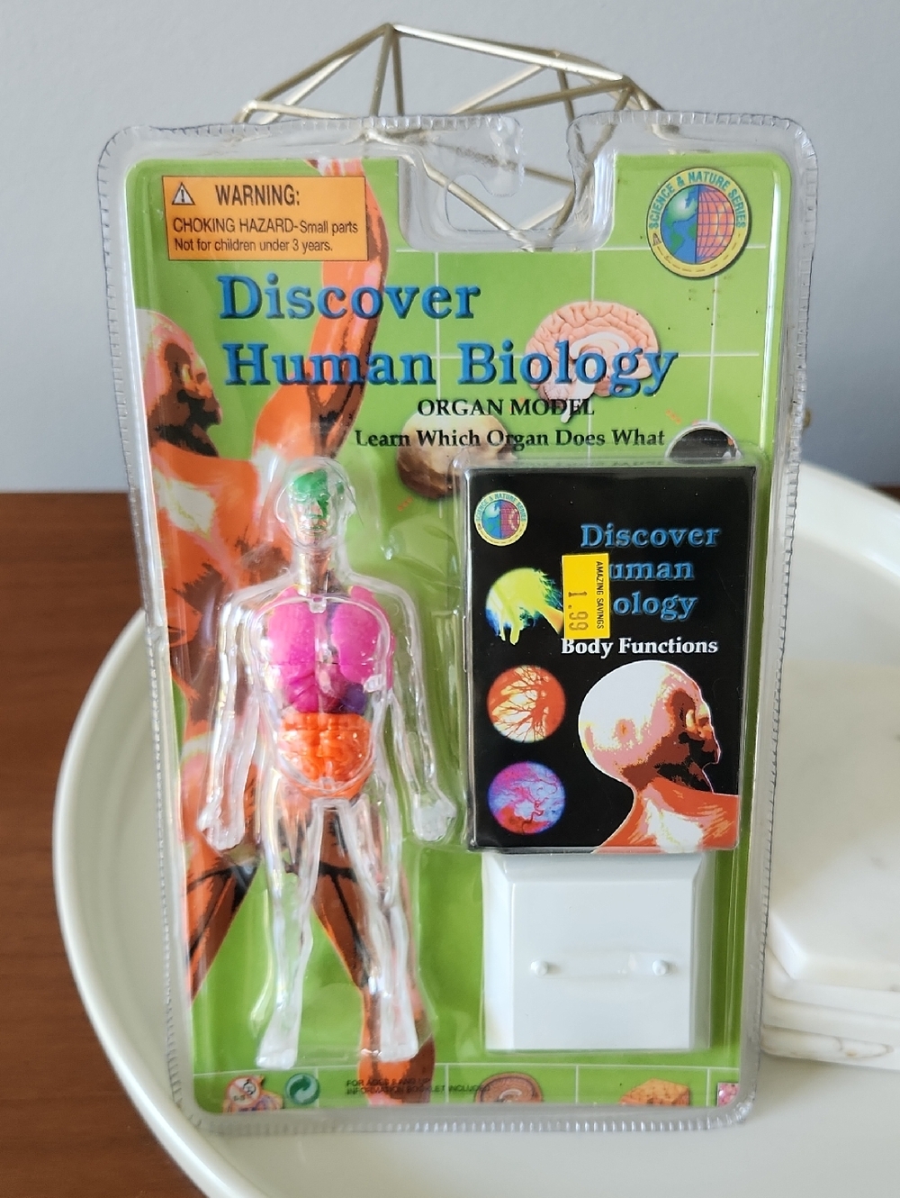 Vintage NOS 1998 Discover Human Biology Organ Model toy